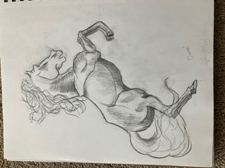 horse on hind legs